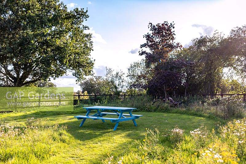 Bright blue picnic bench in meadow