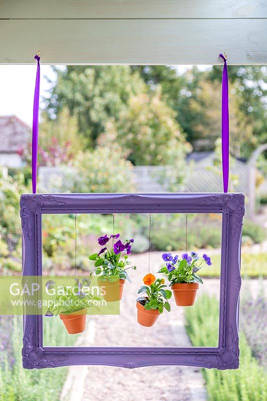 Finished picture frame with Violas in pots suspended to create display