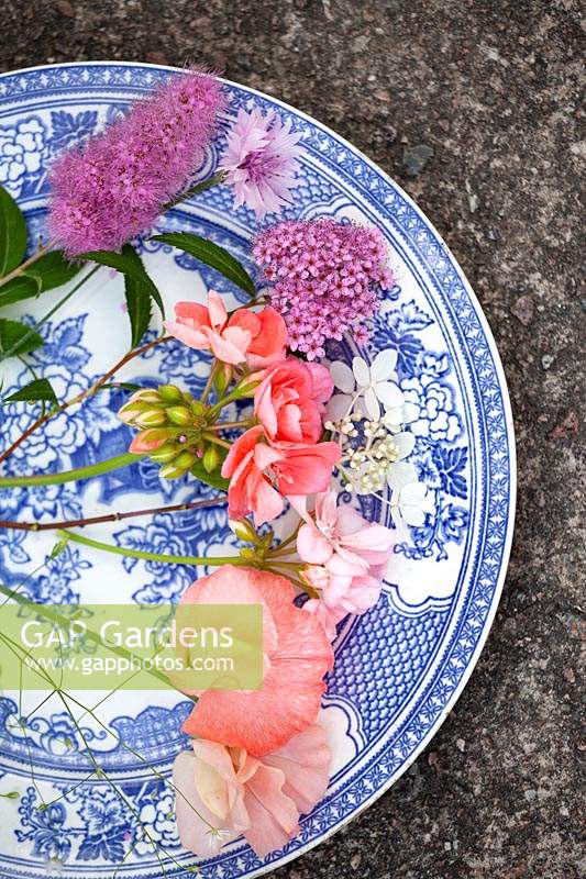 Blue and white plate with mixed flowers including Lathyrus, Pelargonium and Spiraea