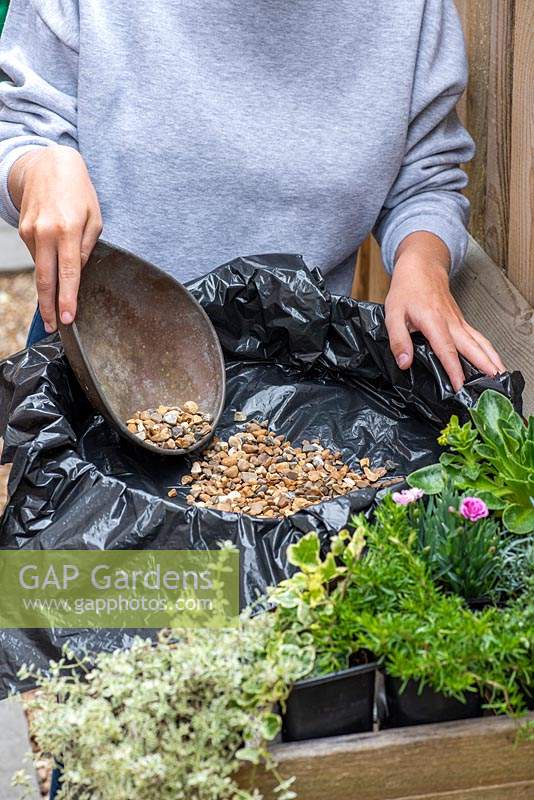 Planting a Garden Sieve. Step 3. Sprinkle gravel in the base and puncture in several places to allow drainage.