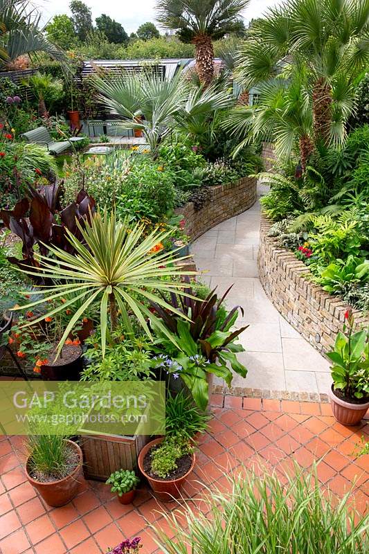 A tropical garden in London, with a curving stone paved path. Raised brick borders line the path.