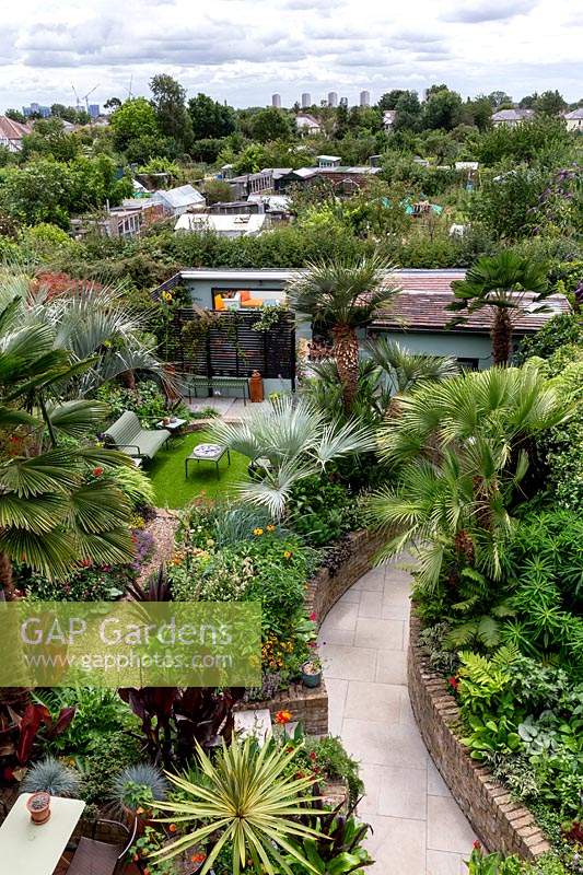 A tropical garden in London. High view of garden showing curved path leading through borders to seating areas. Behind is the allotment where Antony Watkins, the owner has his plot.