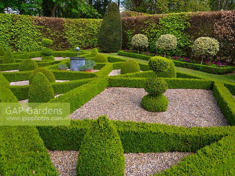 Formal country garden with hedges of Buxus sempervirens - Box - gravel in the beds