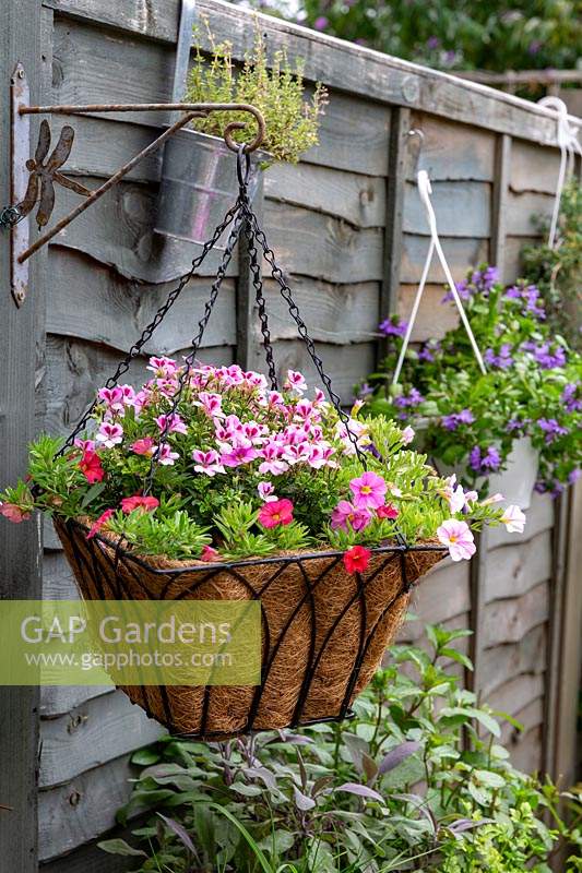 Hanging baskets with summer bedding