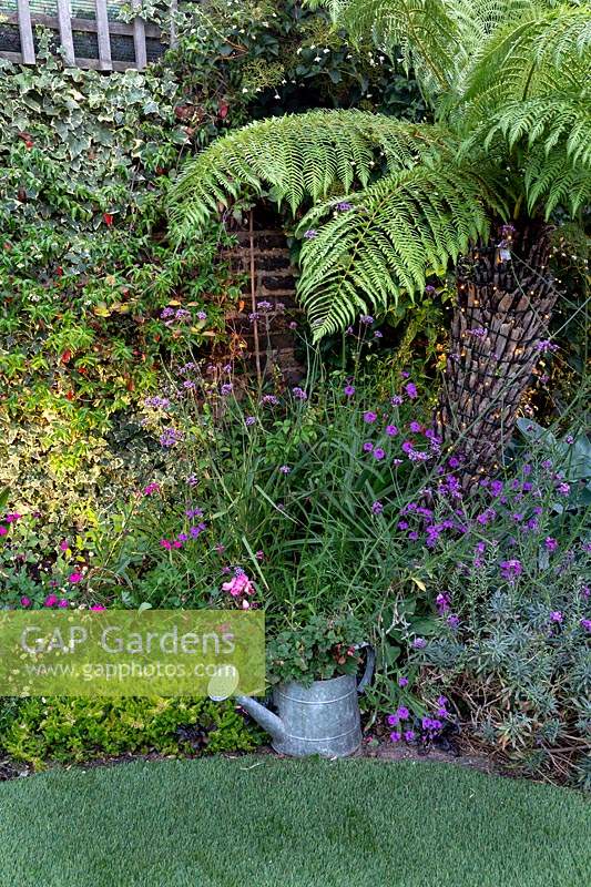 Small garden at night with lights in border with tree fern, Verbena bonariensis, Erysimum 'Bowles Mauve' and Hosta 'Big Daddy'
