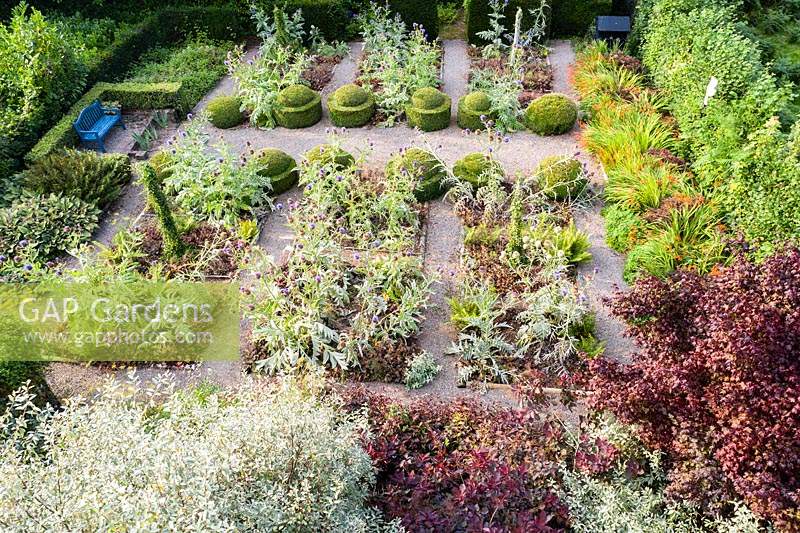 The Vegetable Garden with formal planting of Cynara cardunculus 'Florist Cardy' and Heucera 'Palace Purple'. Egg cup topiary of buxus sempervirens.  Image taken from drone. The garden has been created since 1987 by garden writer Anne Wareham and her husband, photographer Charles Hawes.