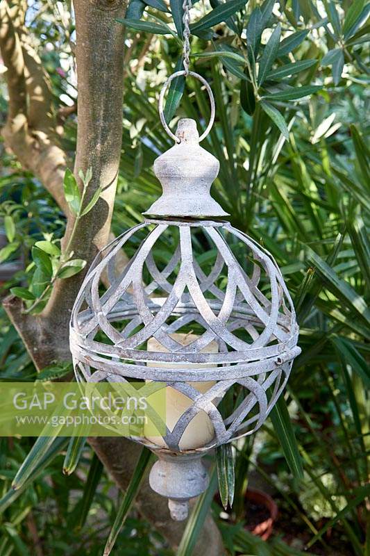 Galvanized candle holder hanging from an Olea europaea - Olive - tree