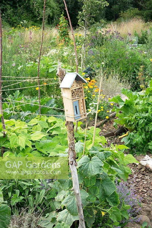 Insect hotel on a stick, in an allotment 