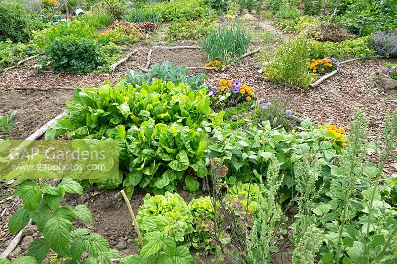 Plot for growing vegetables, fruit and flowers 