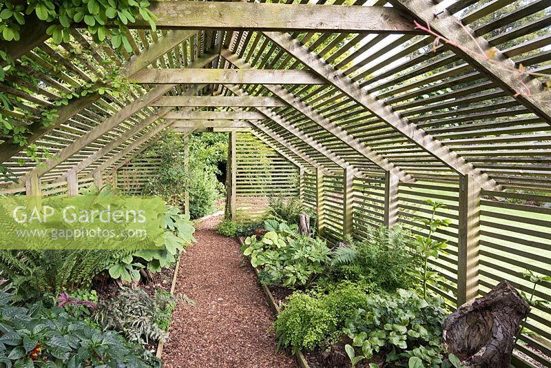 The Shade House planted with shade-loving plants such as ferns, podophyllums and begonias at Bourton House, Gloucestershire, UK.