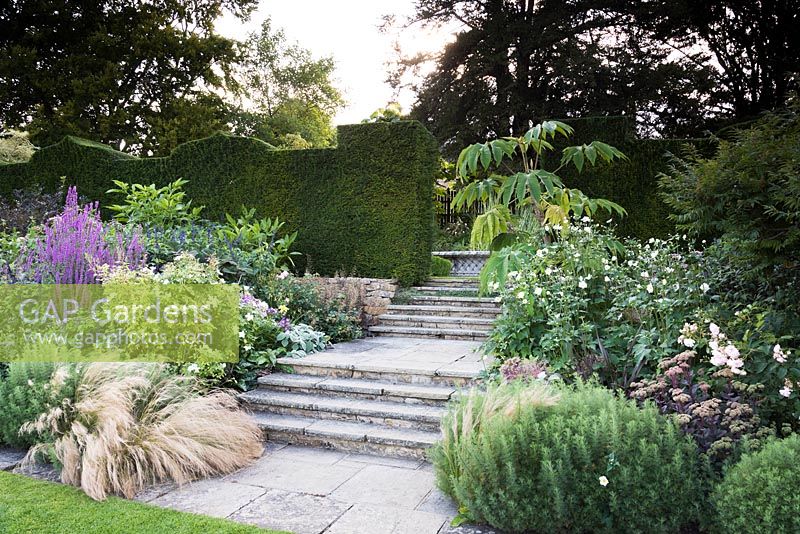 Steps leading up to the Knot Garden from the Croquet Lawn, planted with Stipa tenuissima, Japanese anemones, Lythrum salicaria, sedums and Tetrapanax papyrifer 'Rex'