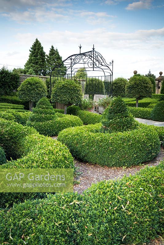Parterre at Bourton House with clipped box and standard Portugese laurels.