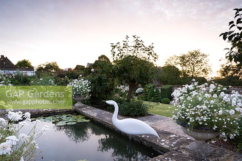 White garden at dawn, viewed from raised pond framed by pots of Argyranthemum 'Starlight' and a bird sculpture