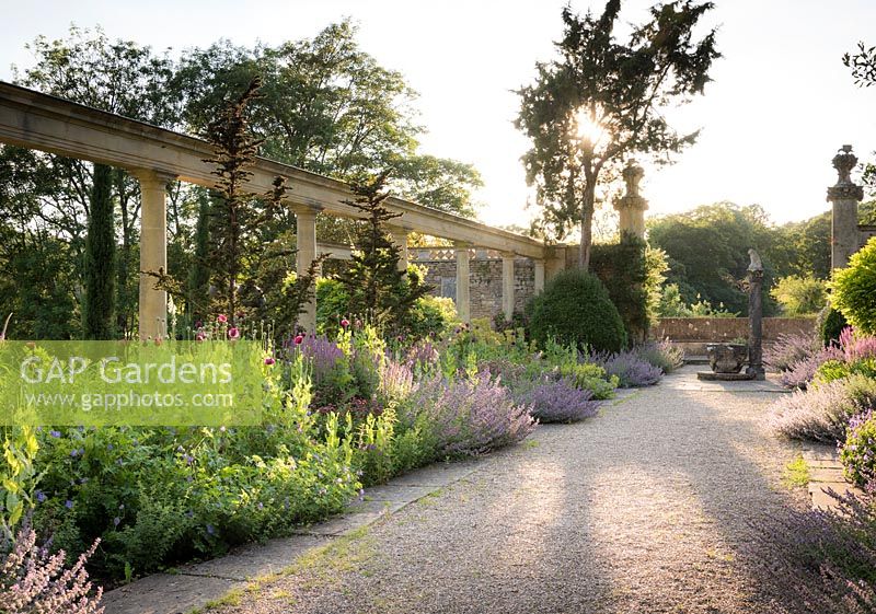 View across wide path to colonnade and border as sun sets, plants include Nepeta - Catmint - and Salvia 