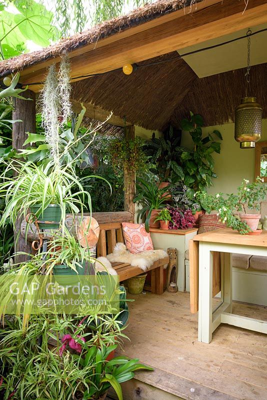 Jungle Hut constructed using recycled telegraph poles with cushioned benches, table and decorative lamp.Plants surrounding the entrance include spider plants, Tillandsia usneoides and the staghorn fern, Platycerium bifurcatum. Inside are pots of begonias, tradescantia, begonias and clivias.