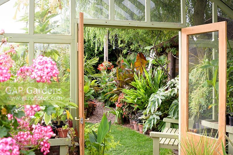 View from the bespoke greenhouse out to bold foliage plants including Tetrapanax papyrifer 'Rex', Ensete ventricosum 'Maurelii', hedychiums and trachycarpus 