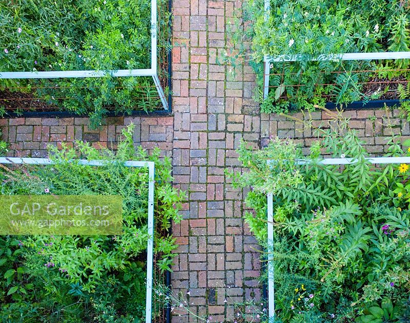 Overhead view of small formal garden with brick path and rectangular beds. September. 