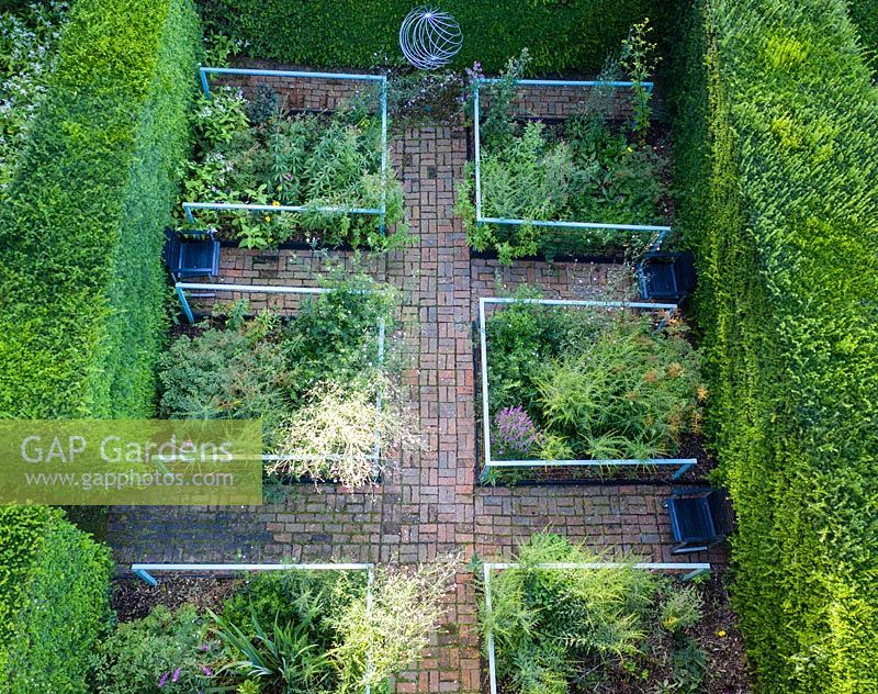 Overhead view of formal garden enclosed by Taxus baccata hedging.  Brick path through beds.  The Cornfield Garden. Veddw House Garden