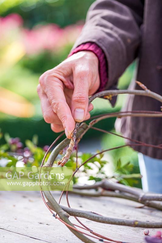 Woman weaving Beech twigs into metal ring to make a wreath