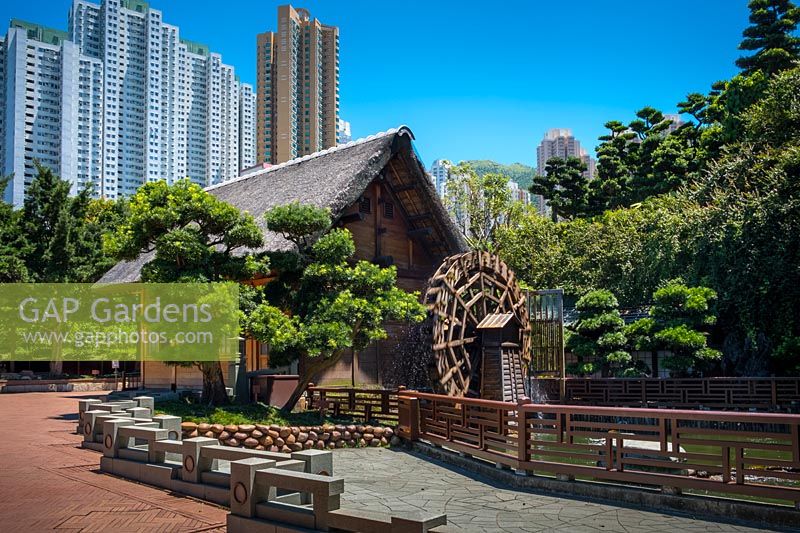 The Mill, with turning mill-wheel, and Buddhist pine, Podocarpus macrophyllus, and concrete block seats railings in the foreground. High-rise buildings of the city in the background. 