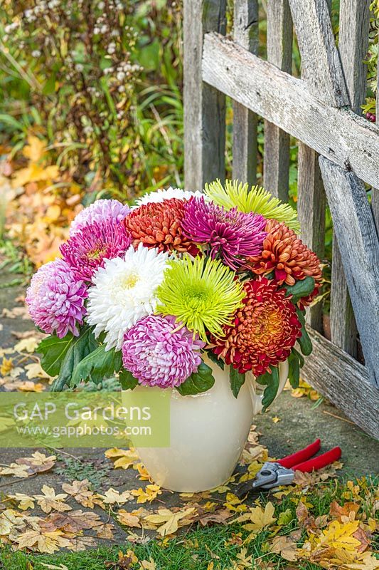 Chrysanthemums Sheer Red, Tula Green and Tula Purple in a vase