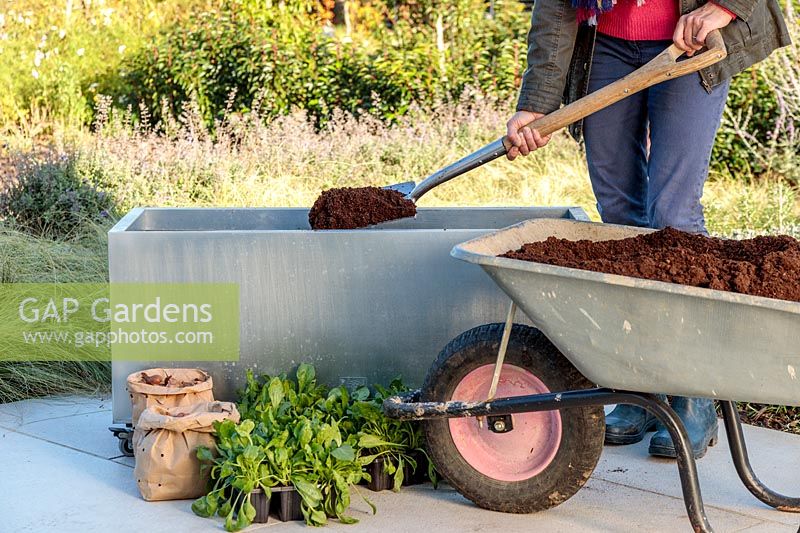 Woman adding compost to container from wheelbarrow using a spade 