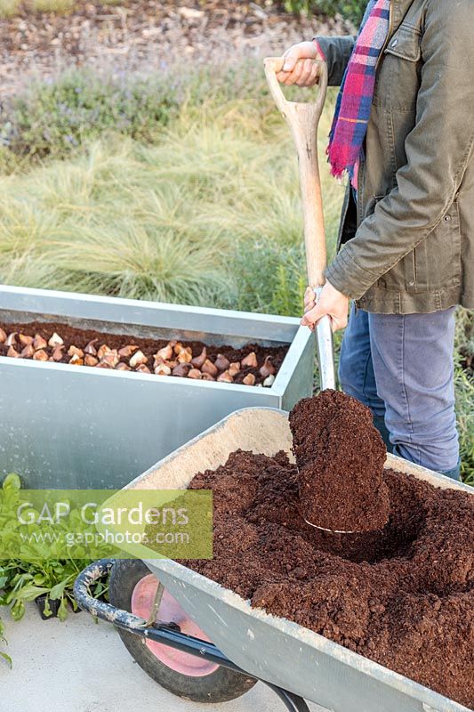 Woman covering bulbs with compost using a spade
