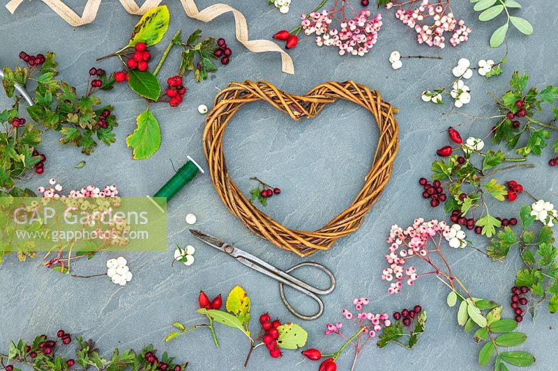 Materials and tools for making a heart shaped berry wreath in Autumn including Sorbus Pink Pagoda, Symphoricarpus, Crataegus monogyna, prunifolia and rose hips