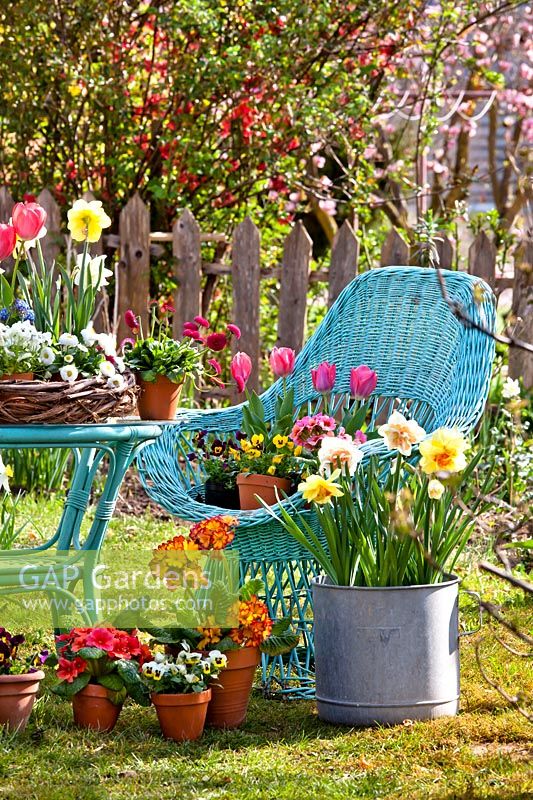 Floral display of potted flowers on table and chair