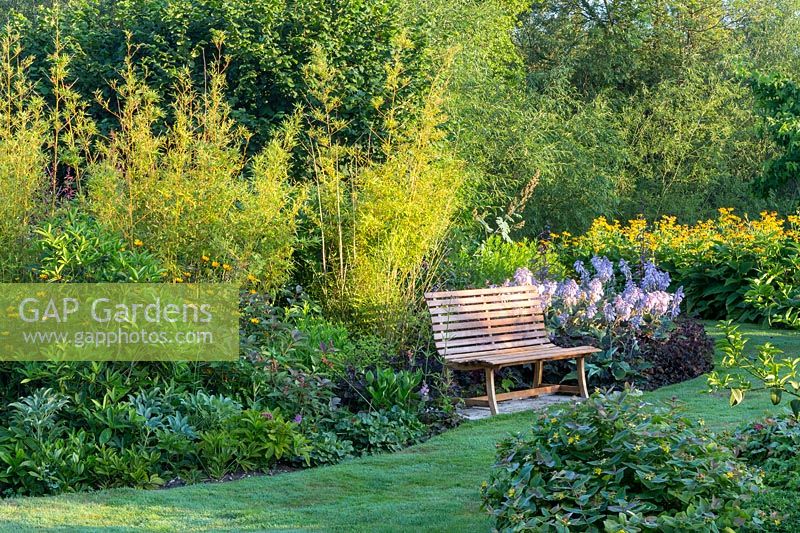 A wooden bench on the edge of one of the island borders with Hosta Halcyon, Bamboo and Phyllostachys aurea. Inula magnifica in the background, Hypericum calycinum in the foreground.