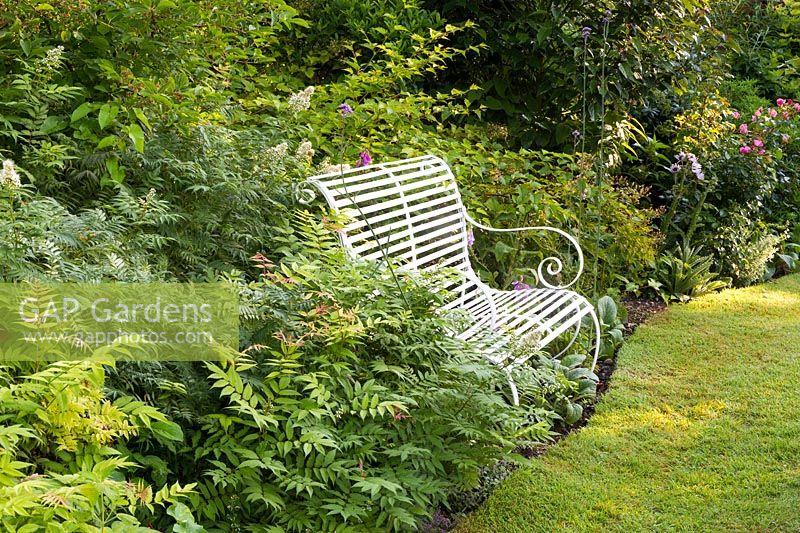 A white metal bench surrounded by Sorbaria sorbifolia 'Sem' punctuated by Verbena bonariensis.