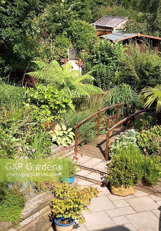 Suburban garden with wooden bridge and mixed foliage planting