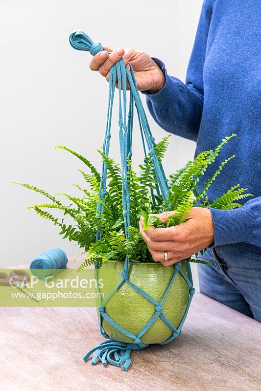 Woman adjusting Macrame plant hanging around glazed pot planted with Nephrolepis 'Green Lady'