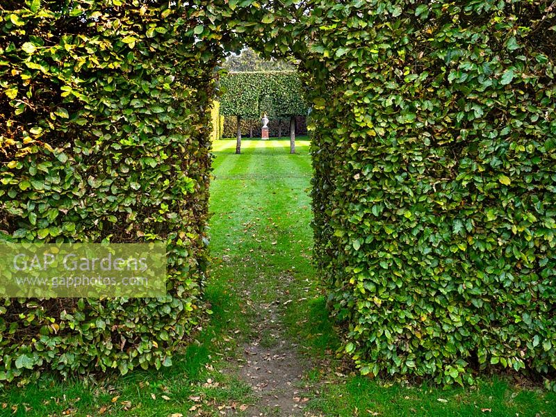 View through arch cut into hedge, beyond lawn with trained tree with arch repeated