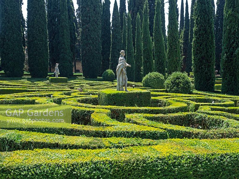 Statues in parterre with box hedging