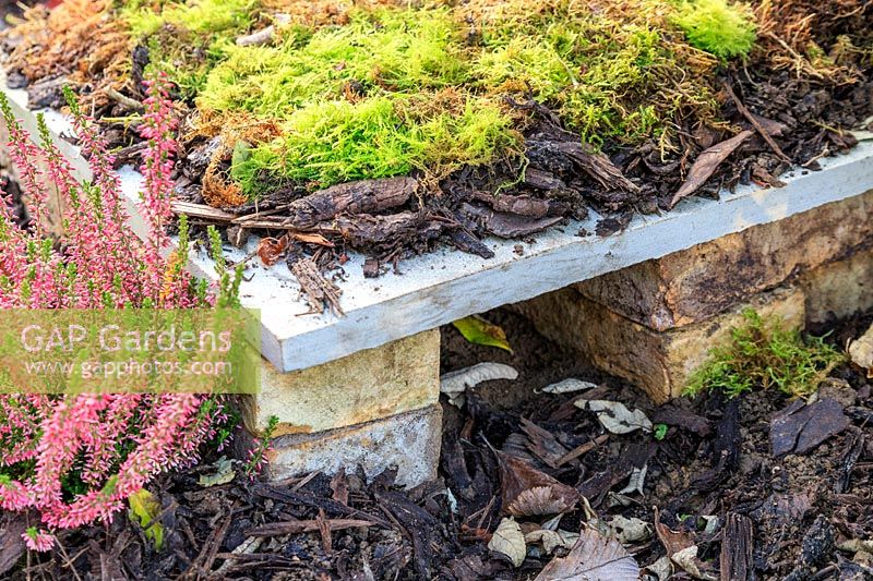 Finished hedgehog house made simply with bricks and a paving slab - camouflaged with wood chippings and moss