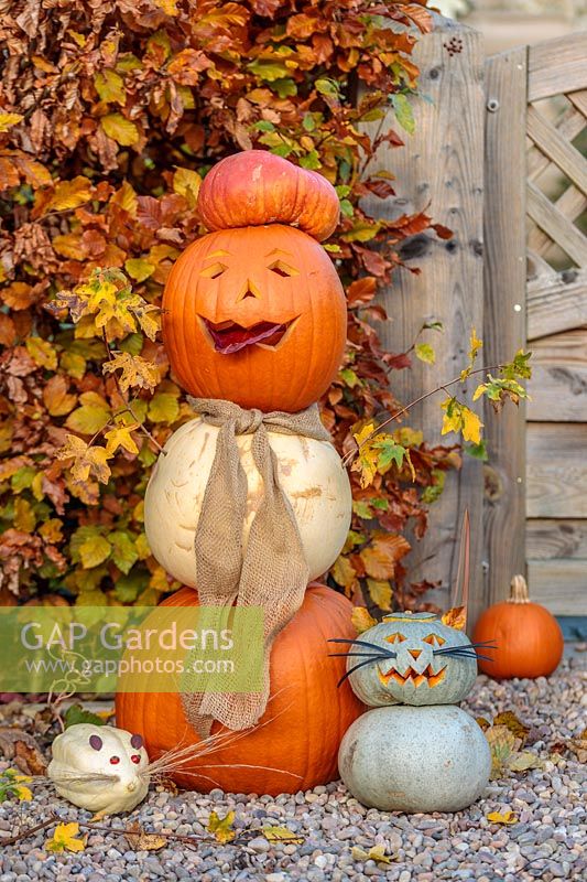 Pumpkin person made with mix of pumpkins, Acer campestre - Field Maple arms and hessian scarf