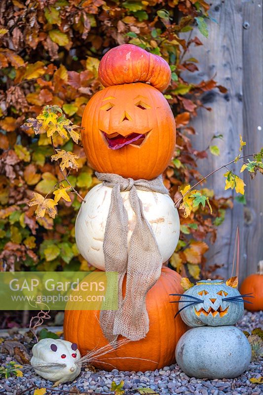 Pumpkin person made with mix of pumpkins, Acer campestre - Field Maple arms and hessian scarf, cat and mouse companions