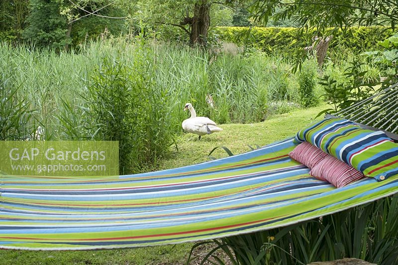 Garden hammock attached to willow tree