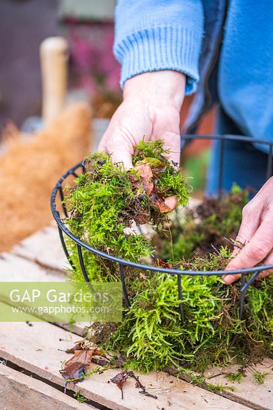 Woman lining the top basket with fresh moss