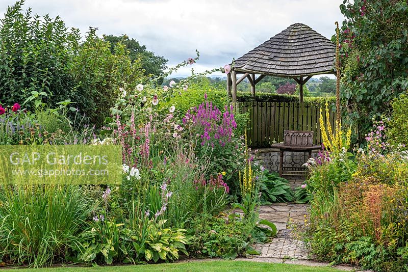 A wooden gazebo is flanked by borders of summer herbaceous perennials including mallows, lythrum, linaria, verbascum, shasta daisies, liatris and phlox.