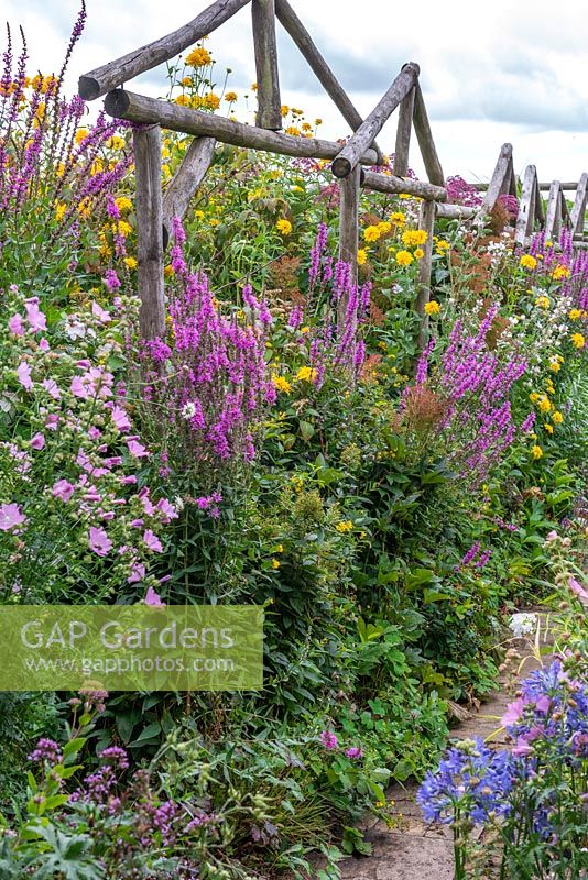 Rustic arches hold back wildlife-friendly borders of purple loosestrife, pink mallow and yellow Helianthus.