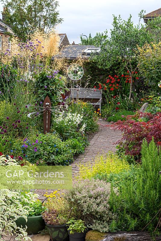 In a 7.5m x 14m back garden, a brick path leads to a bench, between side borders of herbs, acer and perennials, and a central bed planted with Stipa gigantea, Verbena bonariensis, hydrangeas, heleniums, alliums and penstemon.