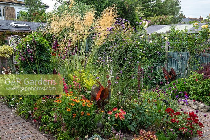 In a 7.5m x 14m back garden, a central bed is planted with Stipa gigantea, Verbena bonariensis, hydrangeas, heleniums, alliums, cannas, roses, dahlias, dierama and penstemon.