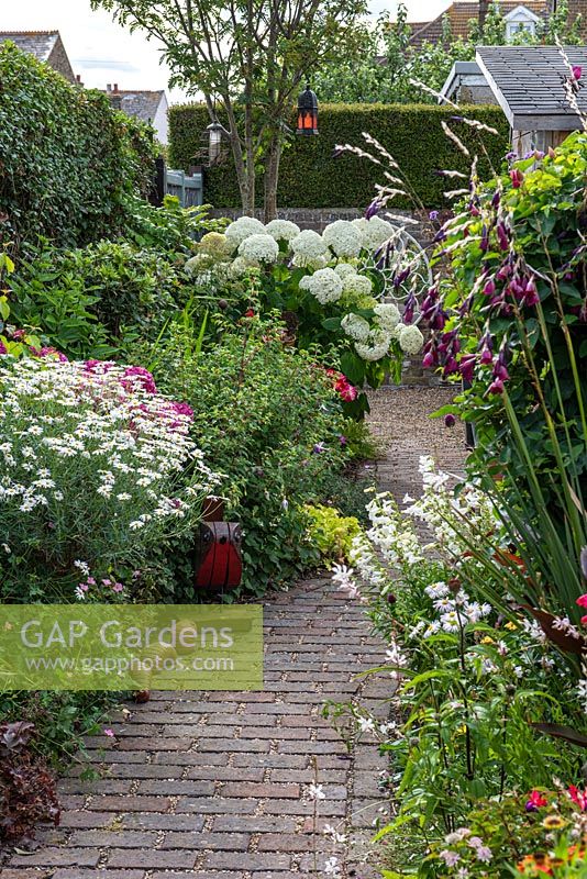 A brick path passes between borders of white penstemon, marguerites, gaura and outcrop of Hydrangea arborescens 'Annabelle'.
