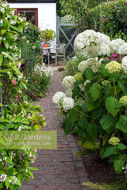 Leading back to the dining area, a brick path passes between borders of white Hydrangea arborescens 'Annabelle' and star jasmine.