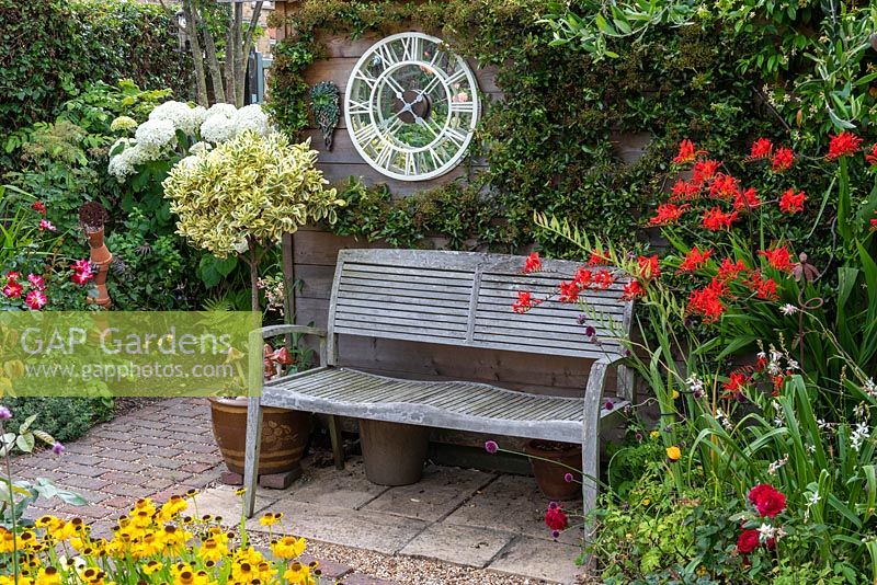Bench sits beneath a clock mirror, flanked by crocosmia on the right, and on the left, a variegated euonymus standard in a pot.