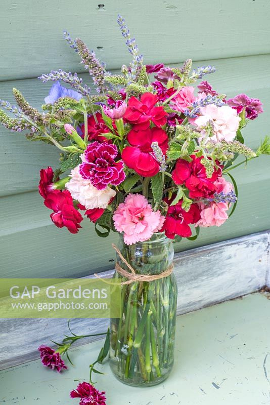 Mixed Carnations with lavender and mint displayed in glass jar