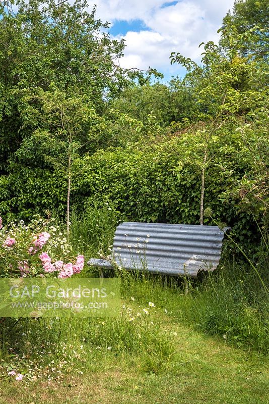 Reclaimed seat in wild garden with roses and honeysuckle