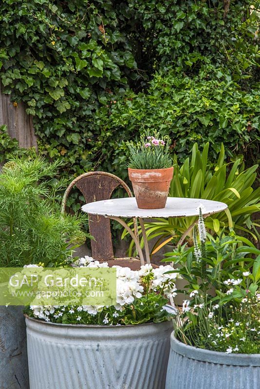 Seating area with containers in cottage garden
